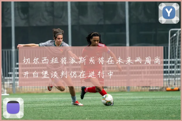 切尔西租将派斯或将在未来两周离开白堡谈判仍在进行中