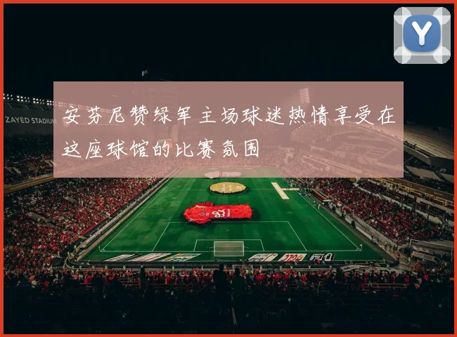 安芬尼赞绿军主场球迷热情享受在这座球馆的比赛氛围